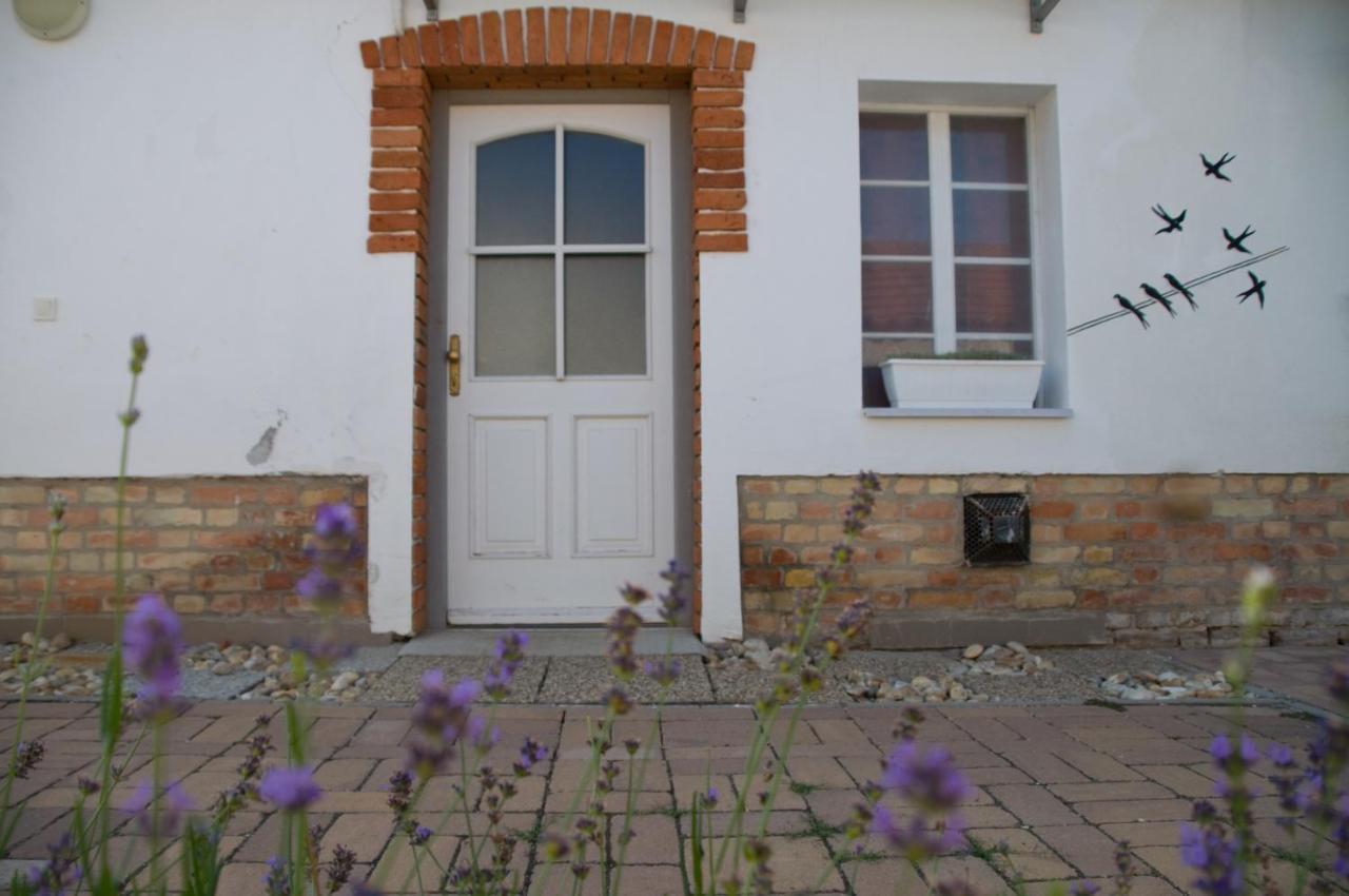 Notas Tuecsoek Vendeghaz Apartment Agyagosszergeny ภายนอก รูปภาพ